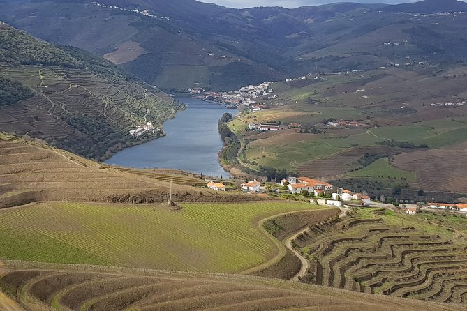 Douro Valley Tour: 2 Vineyard Visits, River Cruise, Winery Lunch - At a glance