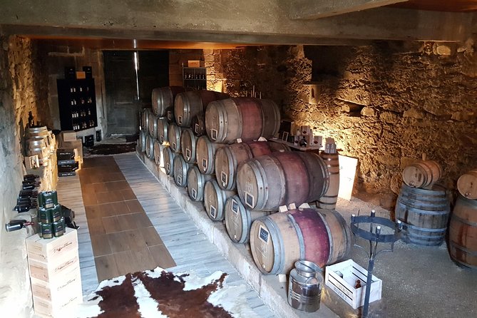 Douro Valley Tour: 2 Vineyard Visits, River Cruise, Winery Lunch - Lamego and the first family winery
