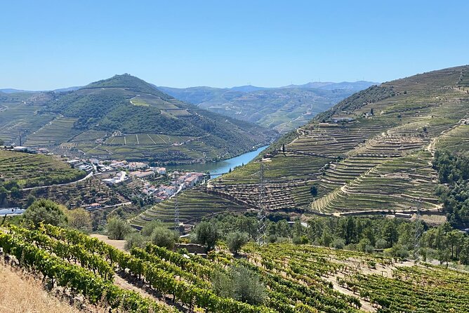 Douro Valley Tour - 3 Wine tastings, Lunch & river Cruise - Scenic road stops reveal the Douro from above