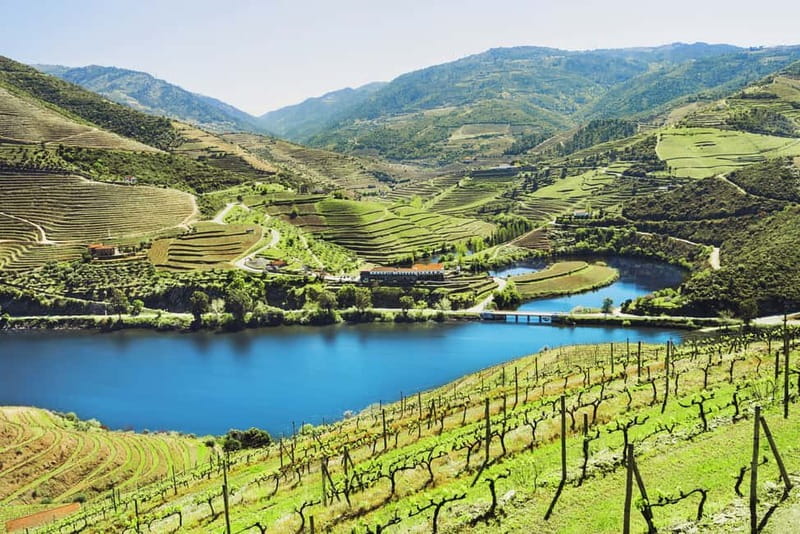 Douro Valley Tour: Visit 2 Wineries, Lunch & River Cruise - Why this Douro day trip works so well