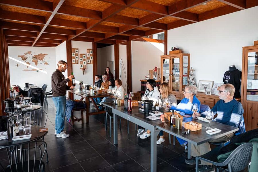 Douro Valley Tour: Visit 2 Wineries, Lunch & River Cruise - How the guides shape the day