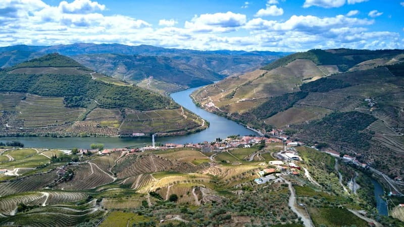 Douro Valley Tour: Visit 2 Wineries, Lunch & River Cruise - What the $116 price includes