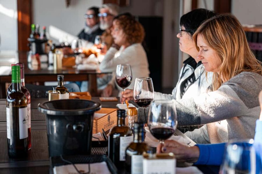 Douro Valley Tour: Visit 2 Wineries, Lunch & River Cruise - Who should book this experience