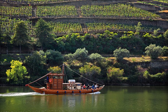 Douro Valley Tour: Wine Tasting, Cruise and Lunch from Porto - Cruising the Douro for one quiet hour