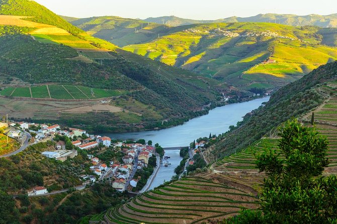 Douro Valley Tour: Wine Tasting, Cruise and Lunch from Porto - Santa Marta de Penaguião and the second tasting