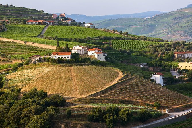 Douro Valley Tour: Wine Tasting, Cruise and Lunch from Porto - Viewpoints, photographs, and the ride back
