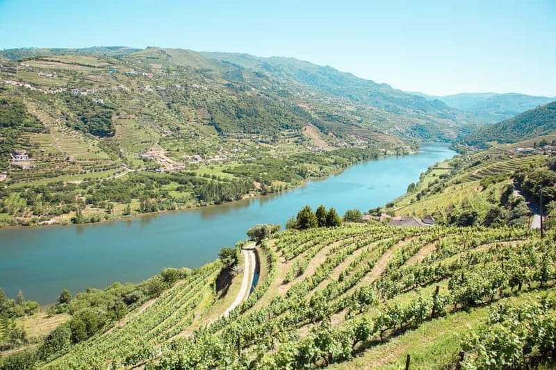 Douro Valley: Tour with Wine Tastings, Lunch, and Boat Ride - Key points at a glance