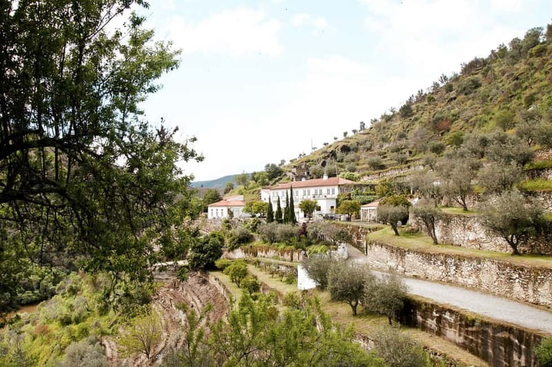 Douro Valley: Tour with Wine Tastings, Lunch, and Boat Ride - Practical tips for a better day