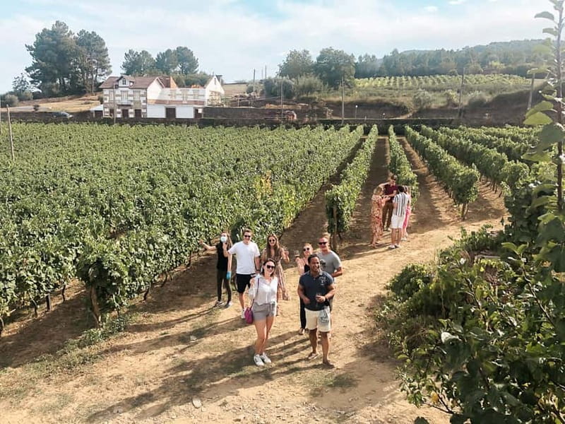 Douro Valley: Tour with Wine Tastings, Lunch, and Boat Ride - Why this Douro Valley tour works so well from Porto