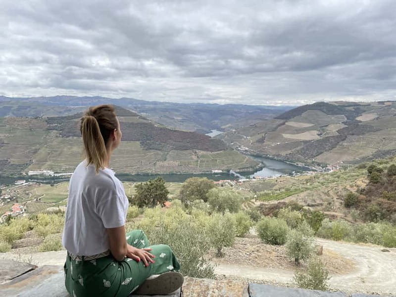 Douro Valley: Tour with Wine Tastings, Lunch, and Boat Ride - Lunch at a traditional Portuguese restaurant
