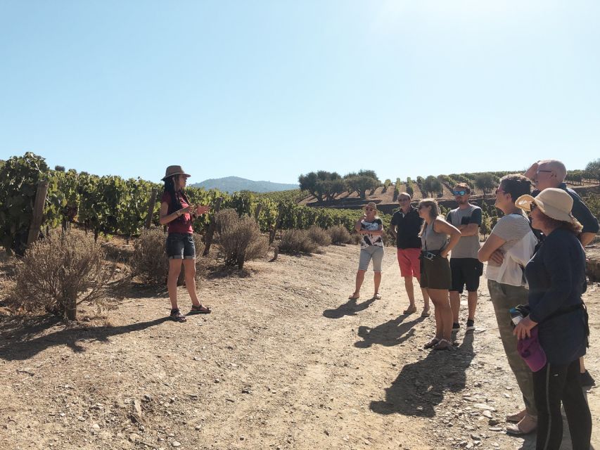 Douro Valley: Tour with Wine Tastings, Lunch, and Boat Ride - The road back to Porto