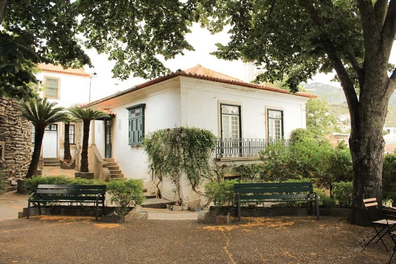Douro Valley: Tour with Wine Tastings, Lunch, and Boat Ride - What $169 includes, and where the value lies