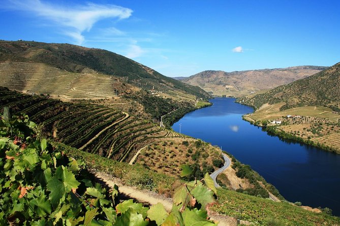 Douro Valley Wine Tour: 3 Vineyard Visits, Wine Tastings, Lunch - Why this Douro Valley day trip works