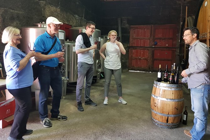 Douro Valley Wine Tour: 3 Vineyard Visits, Wine Tastings, Lunch - The N222 drive into Douro country