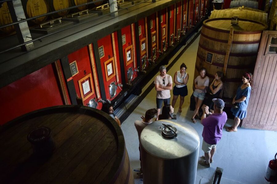 Douro Valley: Winery Tour at Quinta do Tedo and Tastings - Arriving above the Douro and Tedo rivers