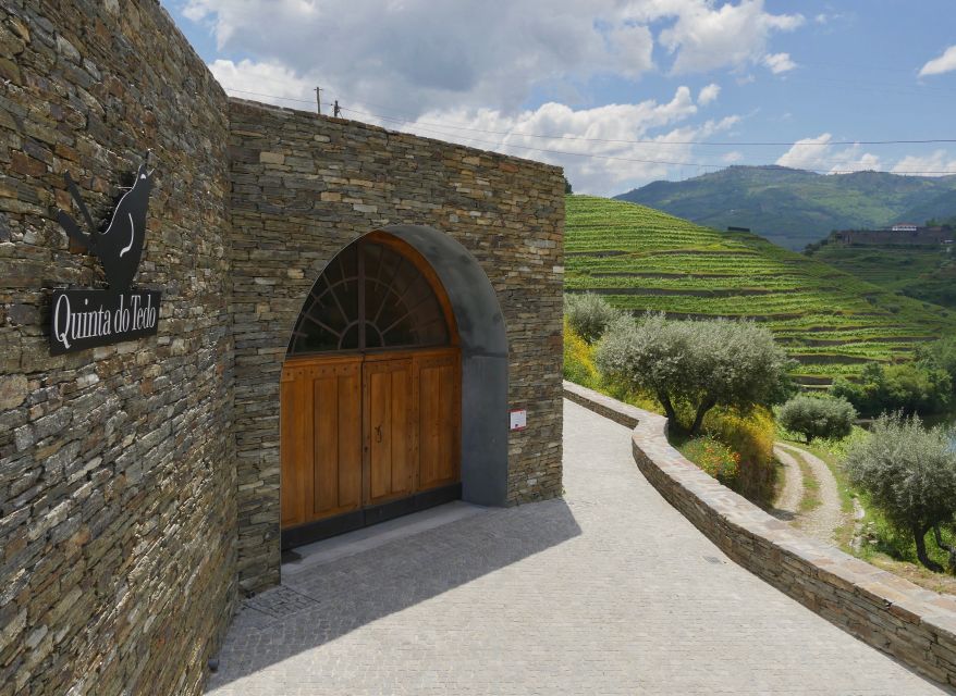 Douro Valley: Winery Tour at Quinta do Tedo and Tastings - What the 35-minute quinta tour covers