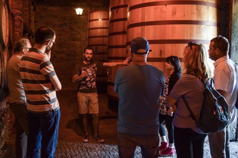 Douro Valley: Winery Tour at Quinta do Tedo and Tastings - Who will enjoy this visit most?