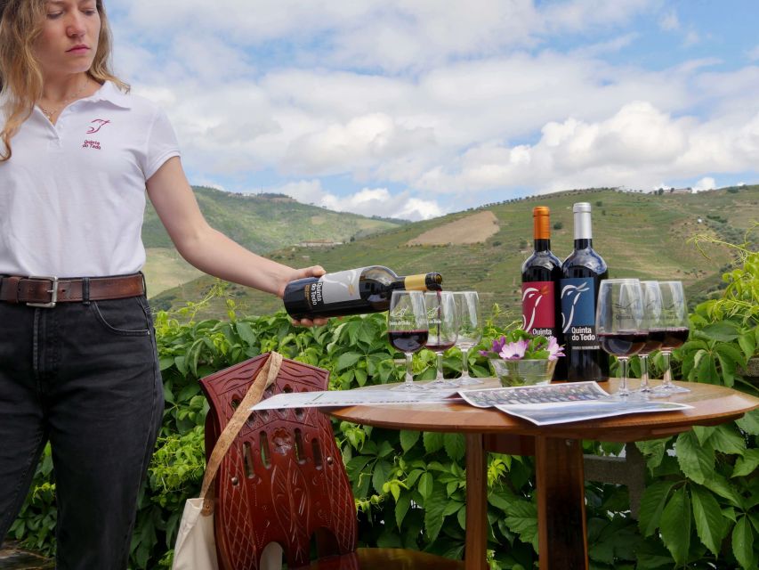 Douro Valley: Winery Tour at Quinta do Tedo and Tastings - How to plan the stop well