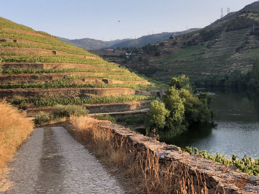Douro Valley: Winery Tour at Quinta do Tedo and Tastings - Should you book Quinta do Tedo?