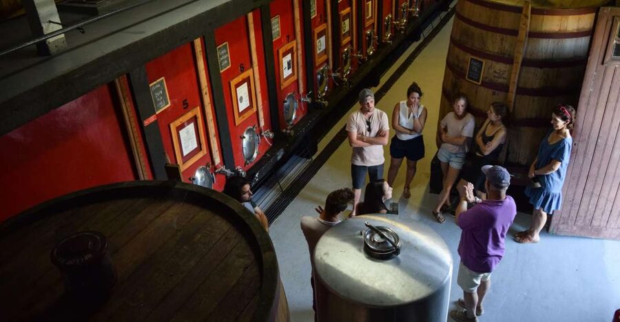 Douro Valley: Winery Tour at Quinta do Tedo and Tastings - Tasting Port and red wine in the old tasting room