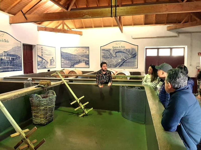 Douro Valley: Winery, Traditional Lunch & Private Boat Trip - Viewpoints above the Douro River