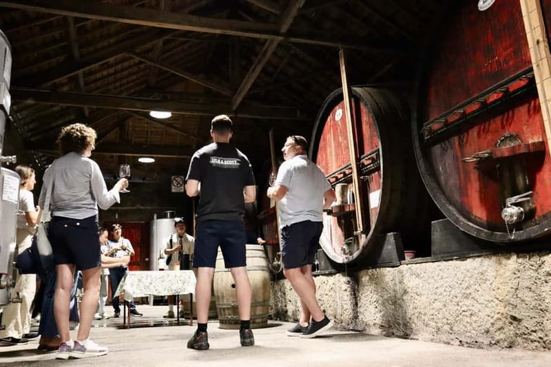 Douro Valley: Winery, Traditional Lunch & Private Boat Trip - The second producer and the final tasting