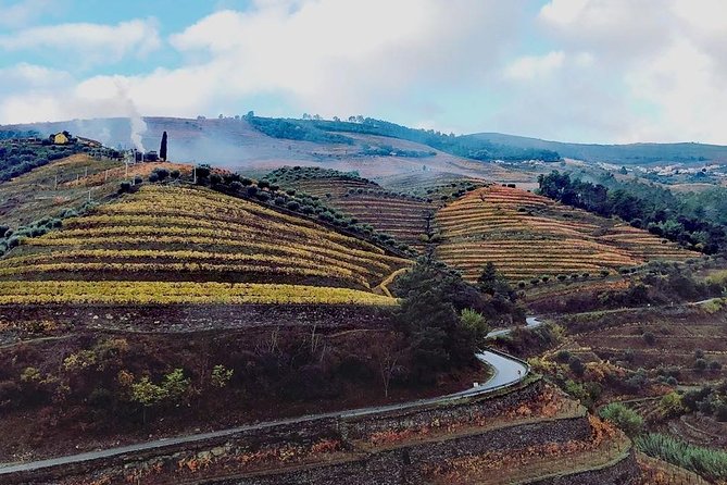 Douro Valley with Two Winery, Boat Trip and Lunch From Porto - Why this Douro Valley trip works so well from Porto