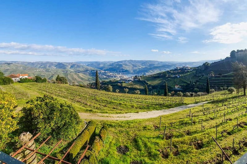 Douro Valley with Two Winery, Boat Trip and Lunch From Porto - Who should book this 10-hour outing
