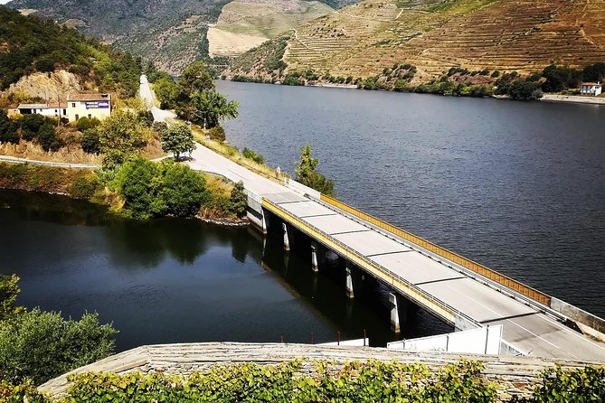 Douro Valley with Two Winery, Boat Trip and Lunch From Porto - Your first winery explains the Douro’s Port tradition
