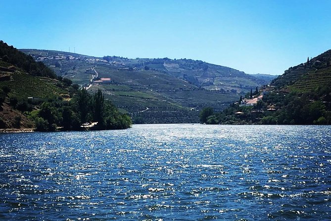 Douro Valley with Two Winery, Boat Trip and Lunch From Porto - The rabelo boat shows the valley from below