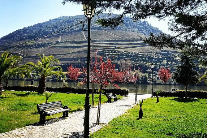 Douro Valley with Two Winery, Boat Trip and Lunch From Porto - The second producer adds olive oil and local food