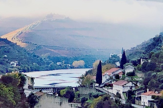 Douro Valley with Two Winery, Boat Trip and Lunch From Porto - Guides make a large difference