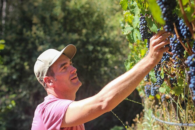 Drumstruck at Silvermist. Live African Drum Show & Wine tasting - Arriving at Silvermist Organic Wine Estate