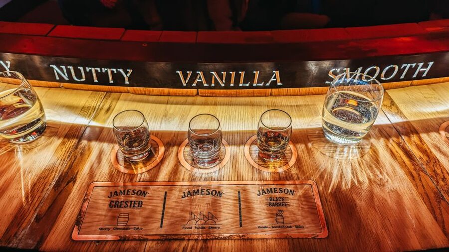 Dublin: Jameson Whiskey Distillery Tour with Tastings - Who will enjoy this tour most