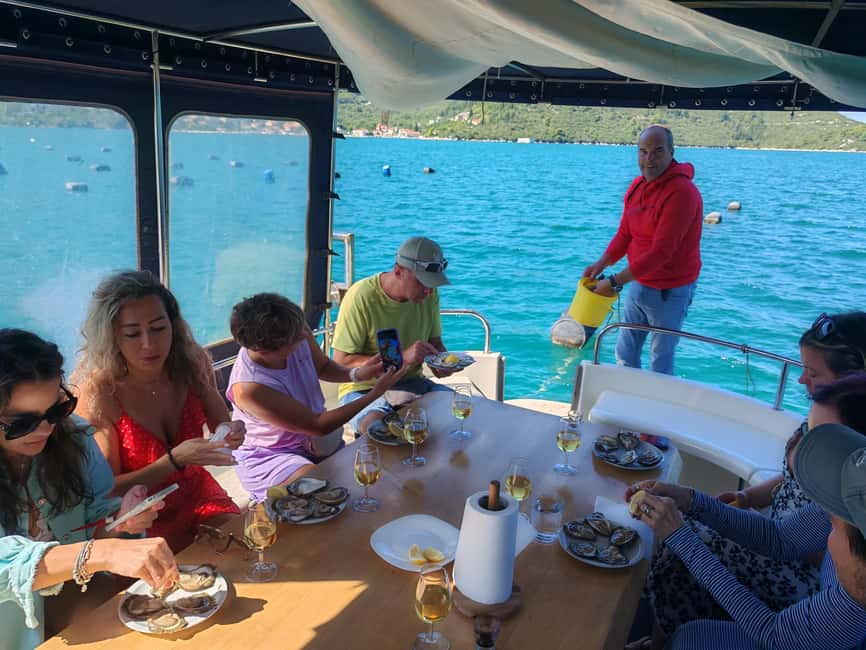 Dubrovnik: Oyster, Mussles, and Wine Tasting Tour in Ston - Oysters, mussels, wine, and a proper lunch