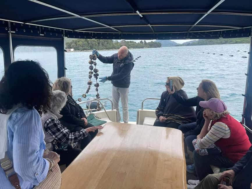 Dubrovnik: Oyster, Mussles, and Wine Tasting Tour in Ston - The Pelješac winery stop