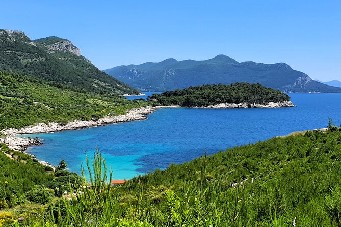 Dubrovnik Private Wine Tasting Tour to Peljesac Peninsula - Matusko Winery and the larger cellar experience