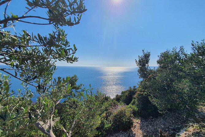Dubrovnik Private Wine Tasting Tour to Peljesac Peninsula - Majkovi viewpoint and the first big Adriatic view
