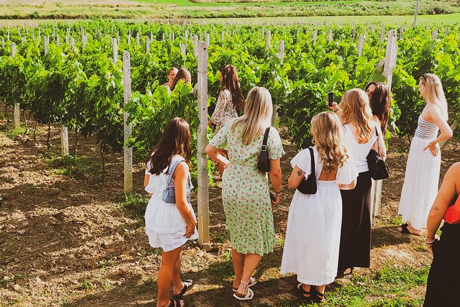 Durrës Countryside Vineyard Experience with Wine & Food Pairing - Tasting Albanian grapes, wine, raki, and olive oil