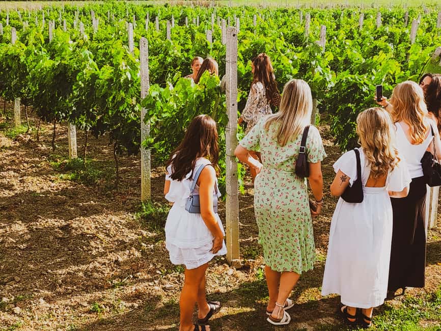 Durres Countryside Vineyards Wine Tasting & Food Pairing - What makes this Durres wine tour worth your time