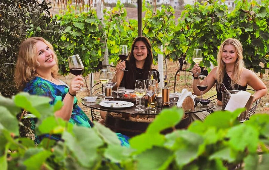 Durres Countryside Vineyards Wine Tasting & Food Pairing - Inside the bunker cellar