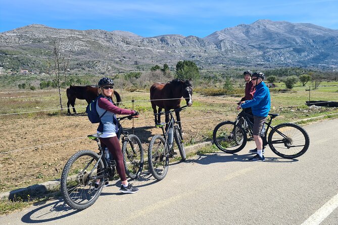 E-Bike Tour + Gourmet Lunch + Wine Tasting (Small Group) - Who will enjoy this Konavle tour most?