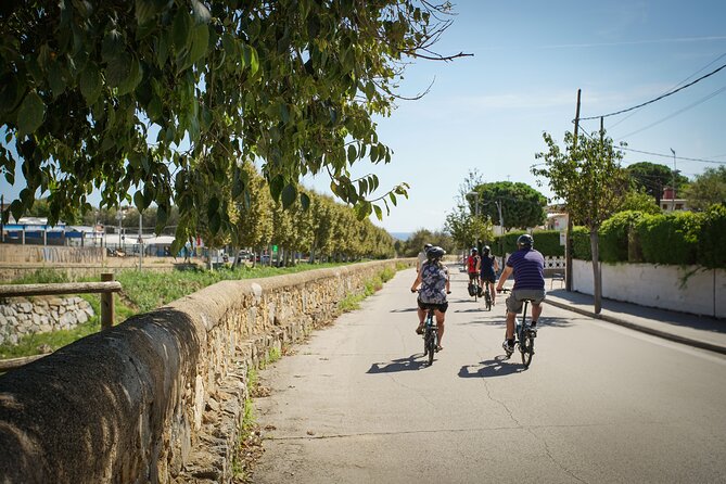 Ebike Tour, Winery, Wine Tasting & Sailing Experience(car option) - Alella wine country and the winery visit