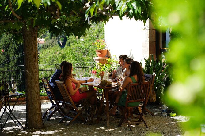 Ebike Tour, Winery, Wine Tasting & Sailing Experience(car option) - Starting at Port Olímpic and leaving the city behind