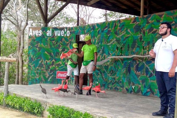 Eco Plan National Aviary and Lunch in Playa Mambo Beach Barú - Reaching the National Aviary from Cartagena