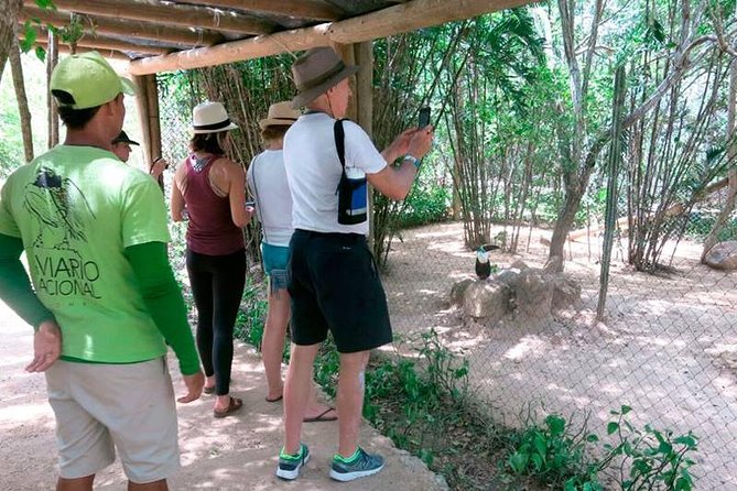 Eco Plan National Aviary and Lunch in Playa Mambo Beach Barú - Is the $85 price good value?