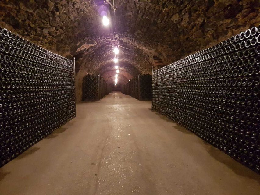 Epernay: Guided Tour of Champagne Cellar with Tastings - Is $20 good value for Champagne country?