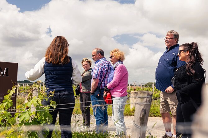 Essential Wine Tour with Tasting & Chateau Visits from Bordeaux - Guides such as Dorian, Regis, Kaio, Theo, and Chloe