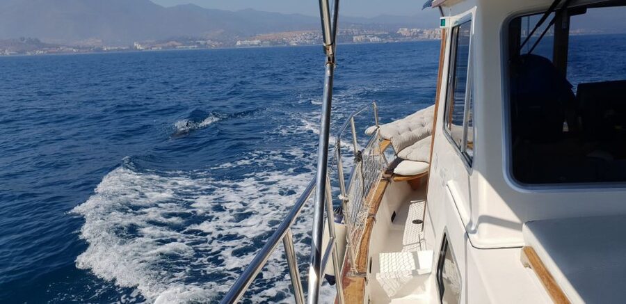 Estepona: Sunset boat trip & Cava & Tapa - Searching for dolphins at the right hour