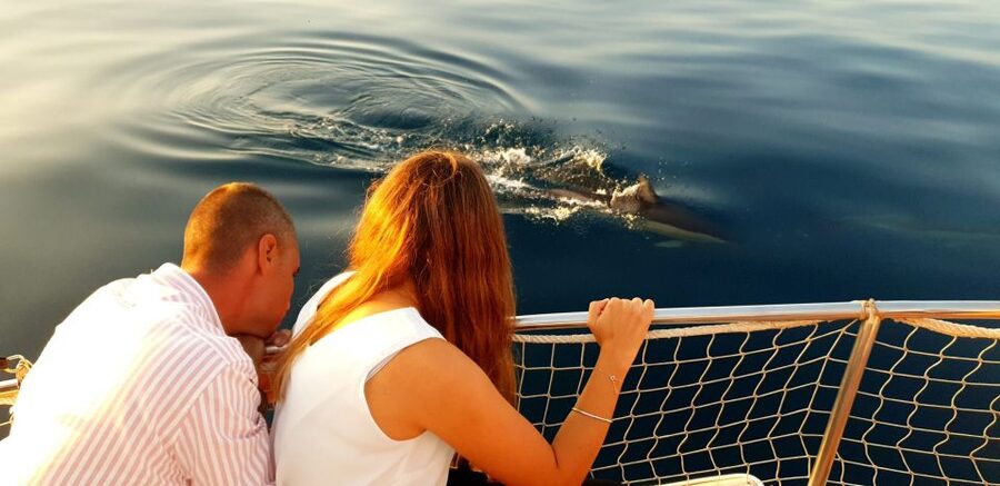 Estepona: Sunset boat trip & Cava & Tapa - Is $393 good value for your group?